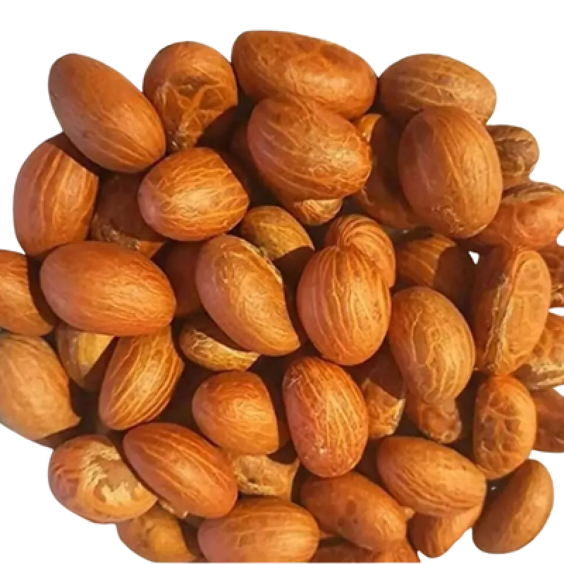 Fresh Bitter Kola Nut (Garcinia Kola) - Organic African Orogbo 100g